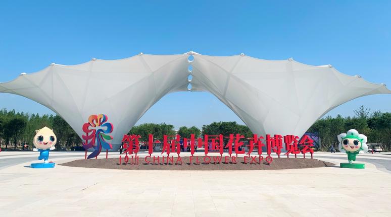 �����й��� ��ս������������������ͨ | win��Ӯ���ʹٷ���վ��������win��Ӯ���ʹٷ���վ��ͨ��˾������ʮ���й�����չ����